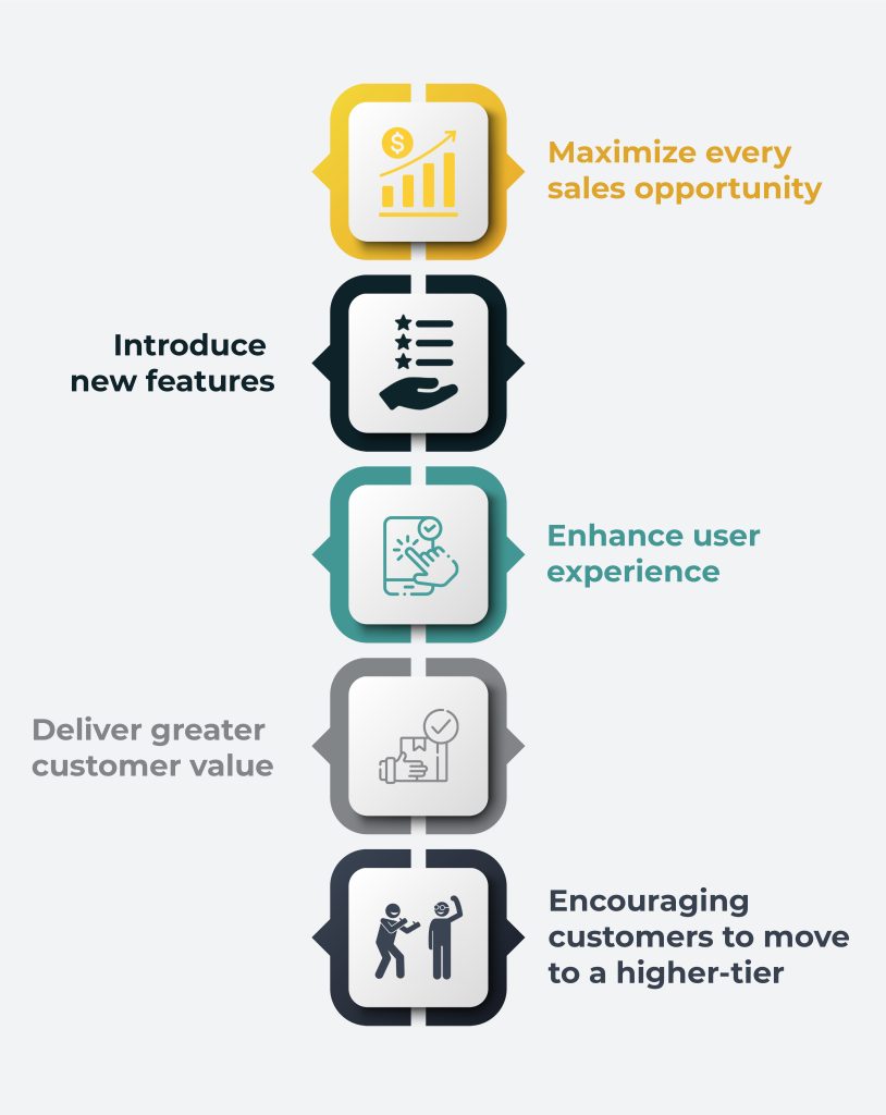 Upselling and Cross-selling Techniques for SaaS Businesses summarized